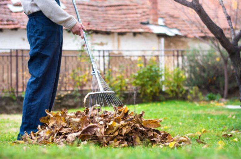 Become a green-fingered gardener