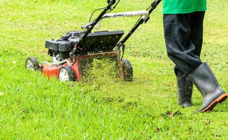 Why Real Grass is the Greener Choice for Australian Families